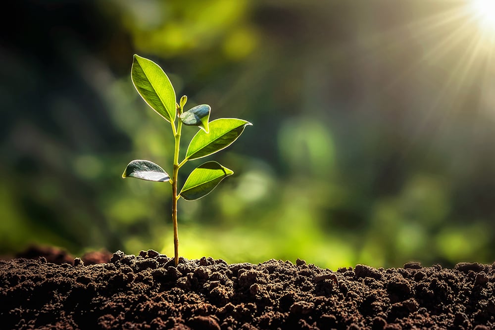 Environmental Industry